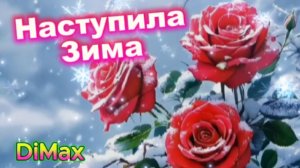 Наступила зима...DiMax