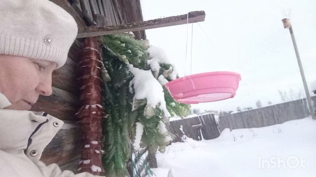 Вечерний фитнес.Сделала кормушку для птиц. смотреть онлайн