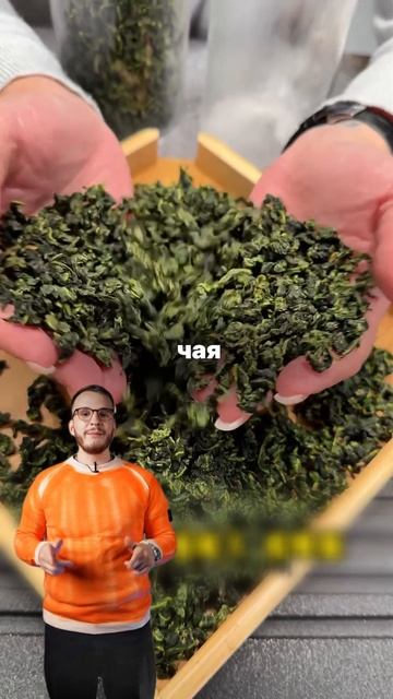 А вы знали что осенняя хандра лечится одним напитком? смотреть онлайн