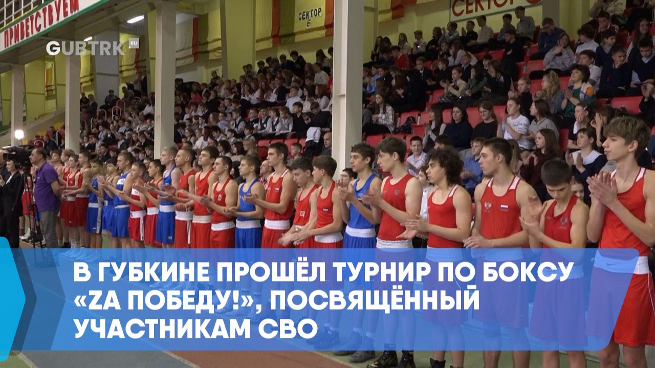 В Губкине прошёл турнир по боксу «Zа Победу!», посвящённый участникам СВО смотреть онлайн
