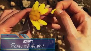 VictoryT - Если любишь меня...
