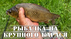 Рыбалка на крупного карася поплавочной удочкой лучшая прикормка