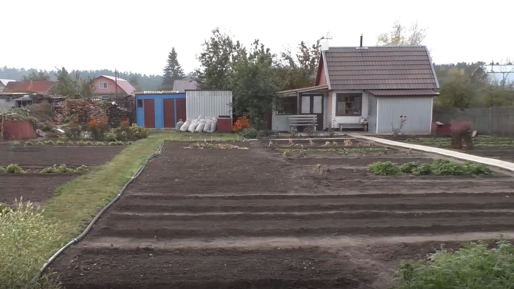 Какой вред от травяных дорожек на огороде смотреть онлайн