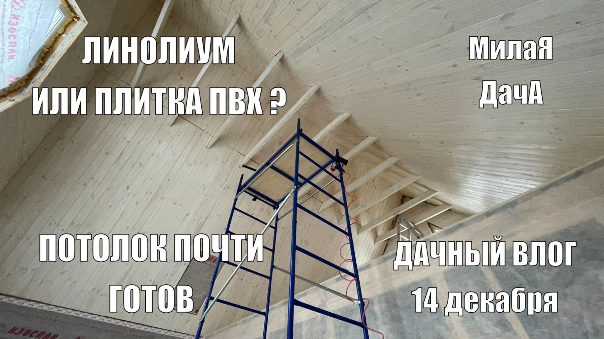 Линолеум или плитка ПВХ? | Потолок почти готов | Дачный влог 14 декабря
