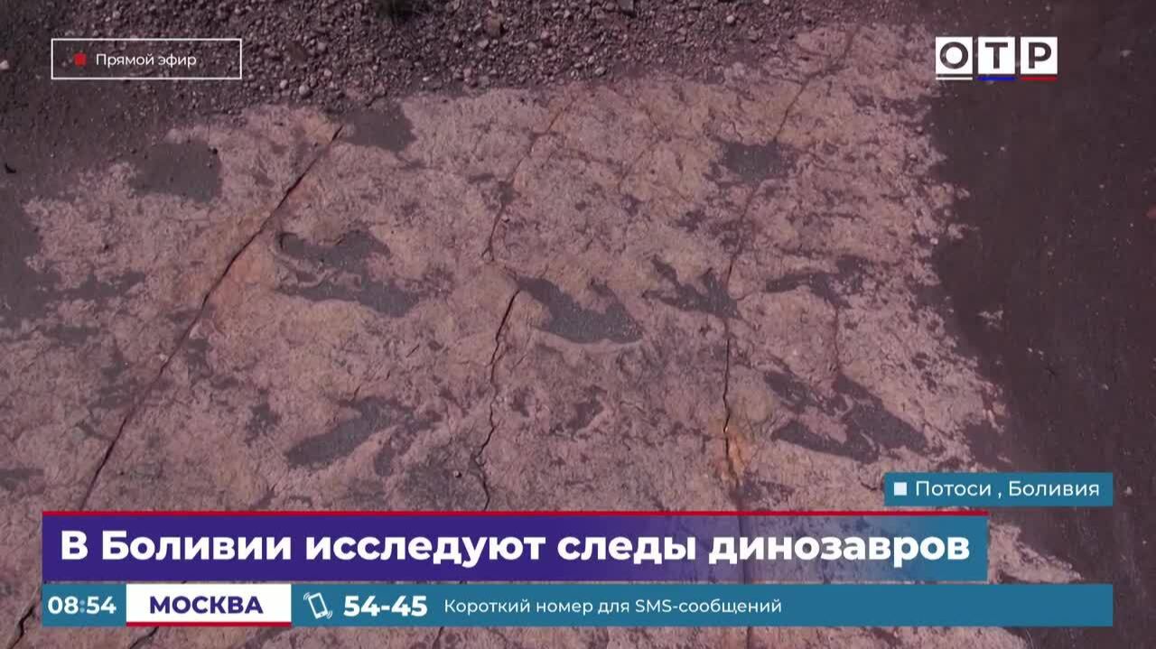 В Боливии исследуют следы динозавров смотреть онлайн