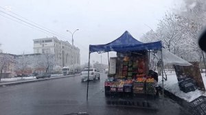 Узбекистан.Первый снег в Ташкенте.