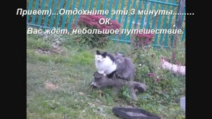 Немного отдохните эти 3 минуты). Небольшое путешествие по Вселенной.