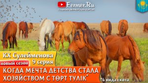 🐎Коневодство - традиция казахов. Большой табун в суровом климате Северного Казахстана.