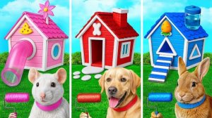 Домики одного цвета для животных