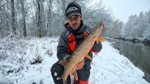 Резко поднялась вода – где теперь стоит щука и чем ее достать с берега [Пора ловить]