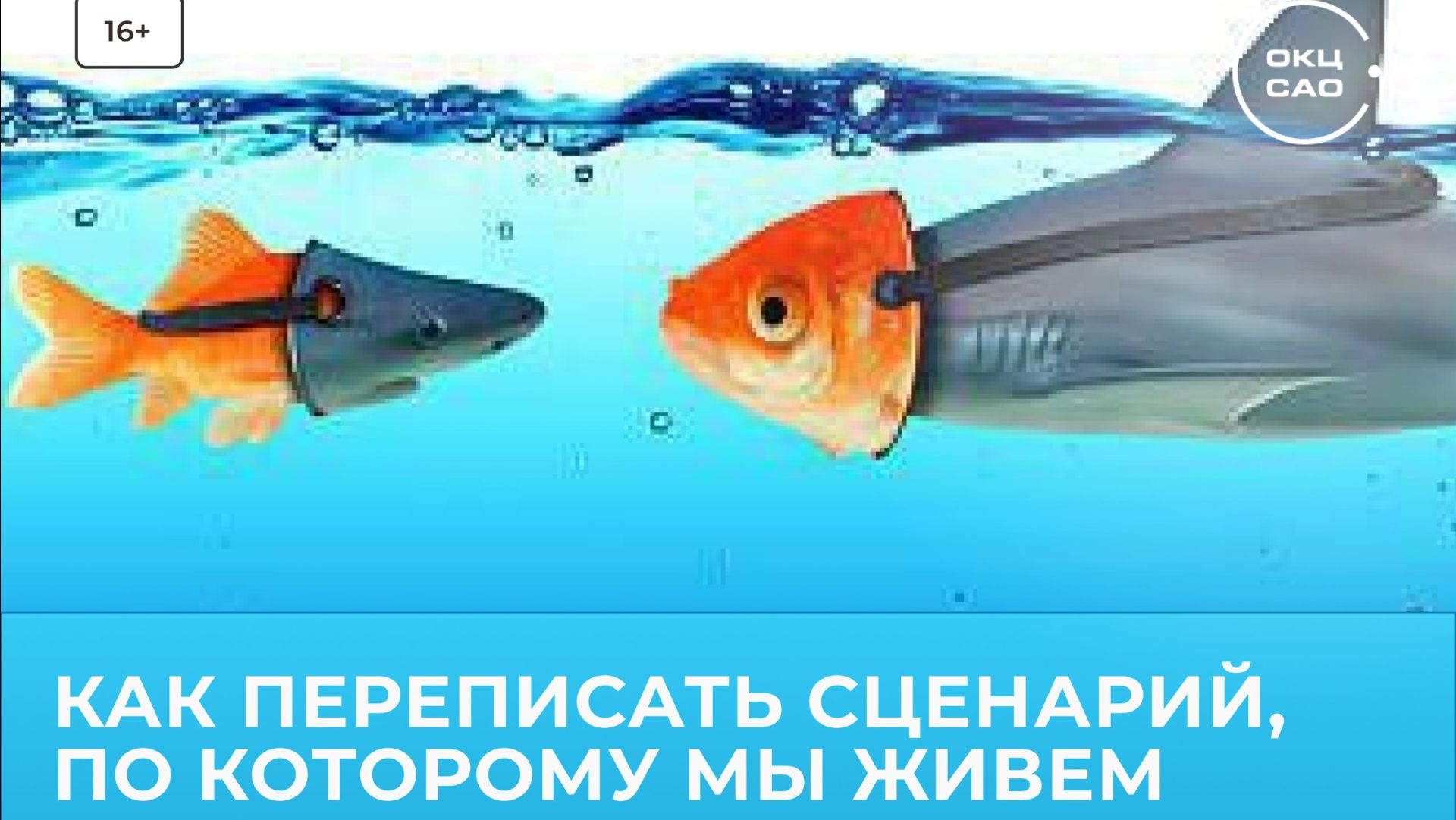 Максим Щербинин 