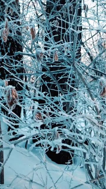 Природа смотреть онлайн