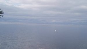 video_2025-12-19_08-15-12