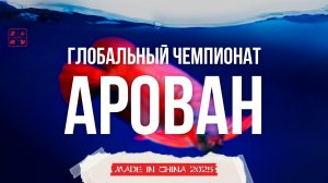 Глобальный чемпионат Арован в Китае