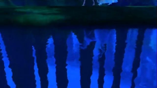 Barbie of swan lake official trailer смотреть онлайн