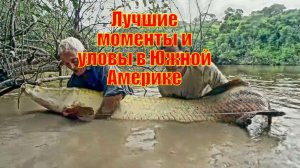 Лучшие моменты и уловы в Южной Америке