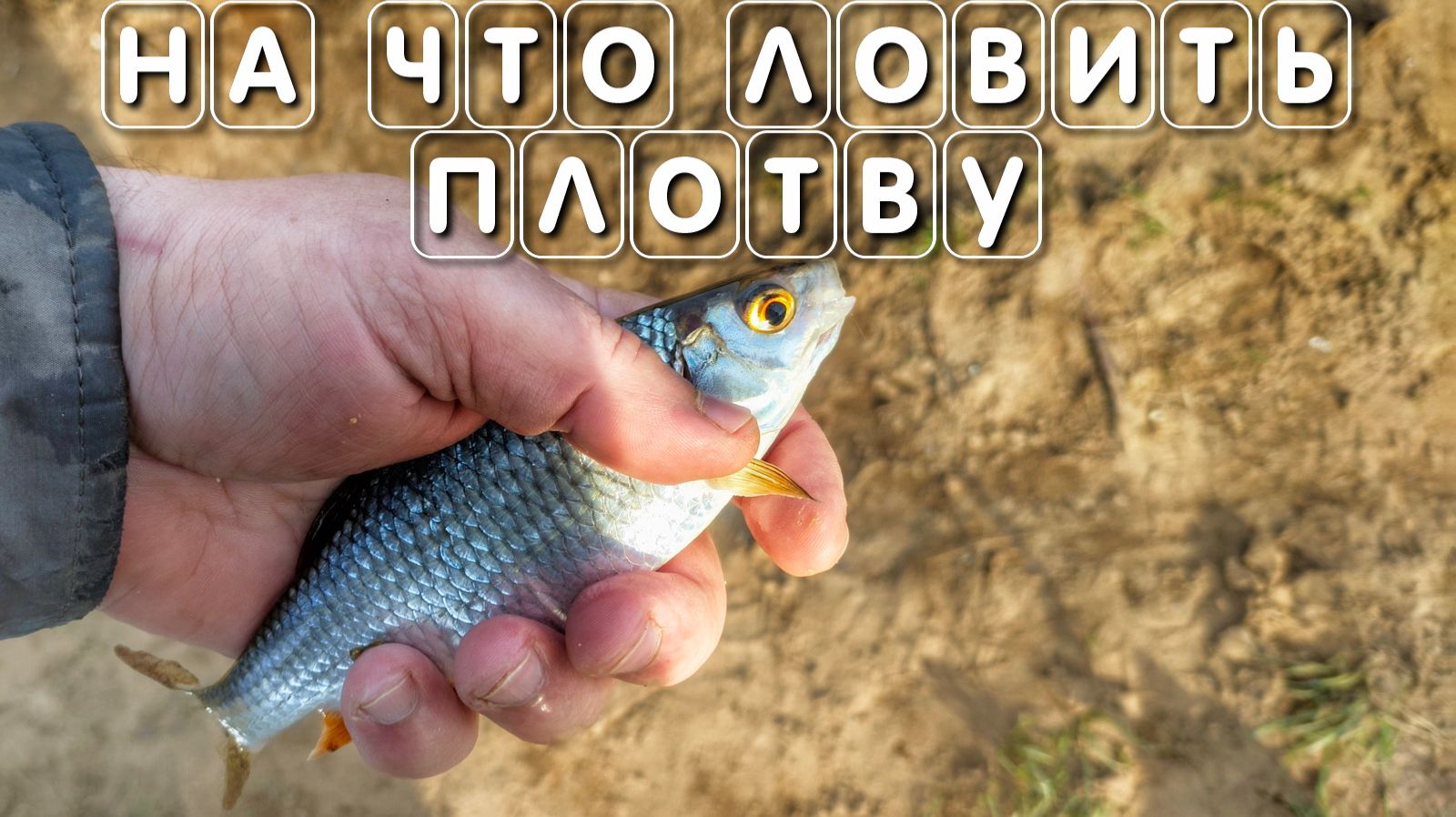 На что ловить плотву на что клюет плотва БОЛЬШОЙ СЕКРЕТ смотреть онлайн