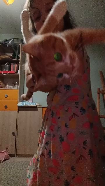 я танцую смотреть онлайн