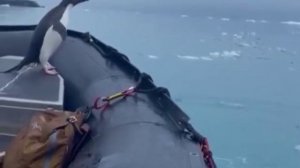 И снова здравствуйте