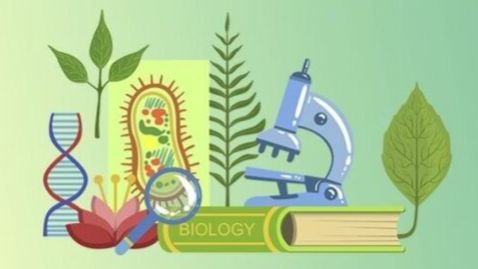 Биология. Эволюция биосферы смотреть онлайн