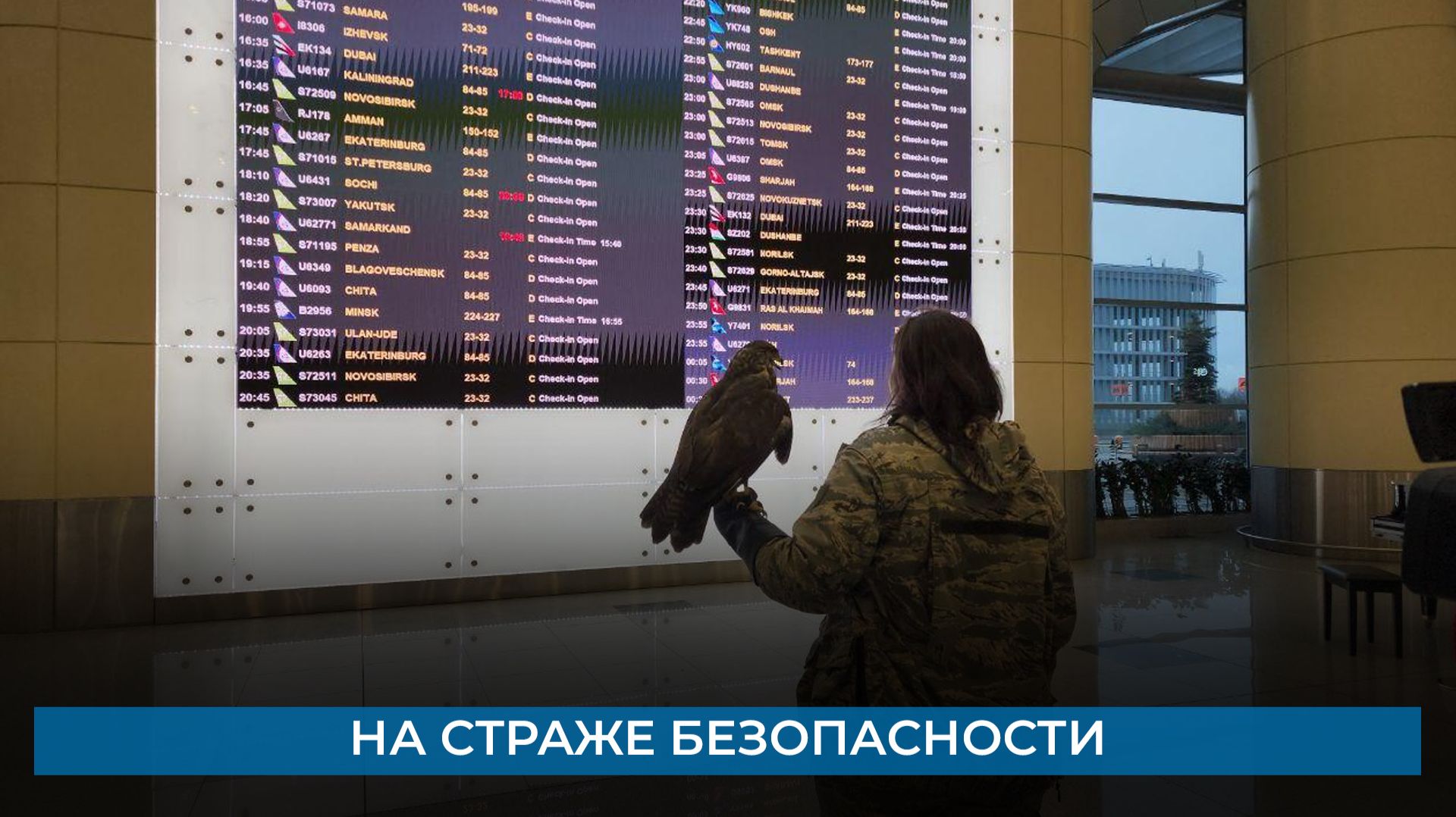 На страже безопасности смотреть онлайн