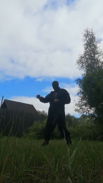 Ninja of Mayhem - Straight kick by right fist (19/07/2020) Ниндзя Беспредела - Прямой Правым Кулаком