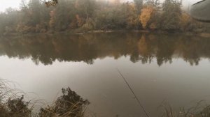 Zetrix Tezza TZS 732ML 2 12гр ⎥Реальный тест и обзор