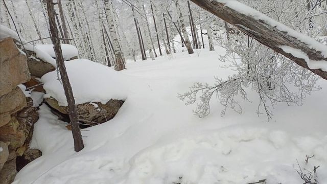 Проверка капканов часть #7,удачно 👍 смотреть онлайн