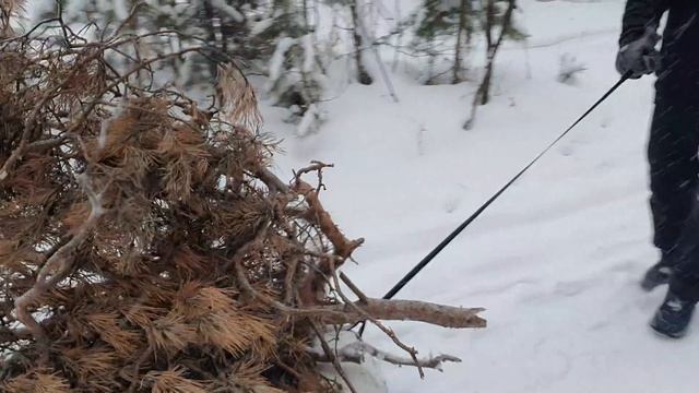 Поход 19.12.2025г ч1