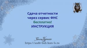 Сдача отчетности через сервис ФНС- подробная инструкция