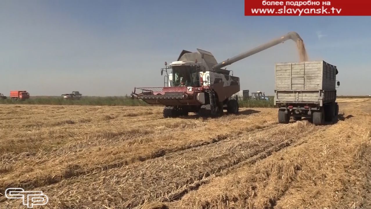 Они добились наивысшего урожая смотреть онлайн