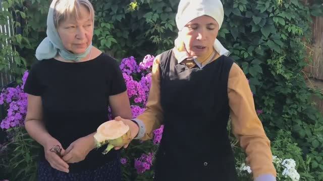 Огород вместо больницы. Матушка Ефросинья Мухамедзянова смотреть онлайн