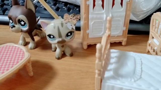 не запланированая распаковка, распаковала: дога и куча мебели!