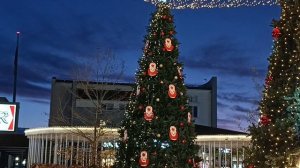 АНАПА ПРЕДНОВОГОДНЯЯ.
19.12.2025.