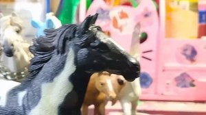 Моя коллекция!🌲😱