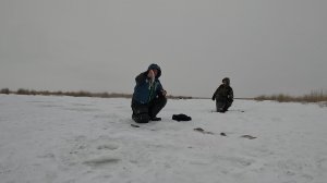 НАШЛИ СКОПЛЕНИЕ И ДАВАЙ ЕГО ТАСКАТЬ. ОН КЛЕВАЛ НА ВСЁ И ДАРИЛ НАМ КУЧУ ЭМОЦИЙ...