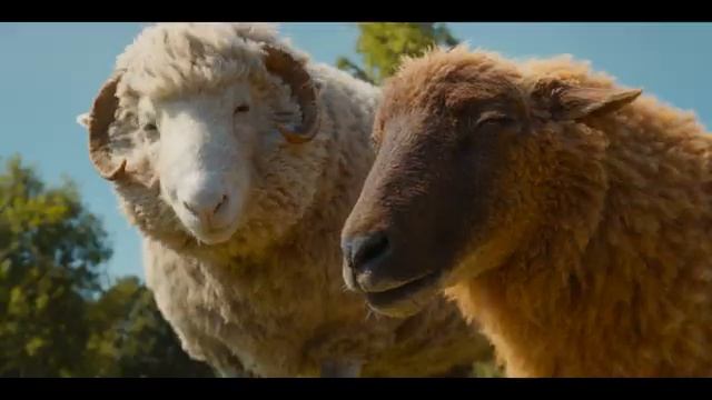 Овечьи Детективы|Русский трейлер 2026 Хью Джекман смотреть онлайн