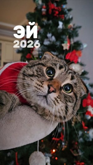 Эй, 2026!