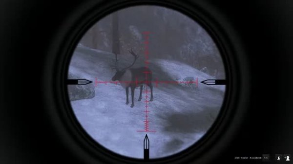 theHunter Classic