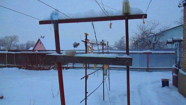 MVI_2330 смотреть онлайн