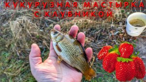 Рецепт как приготовить кукурузную мастырку с клубникой для карася