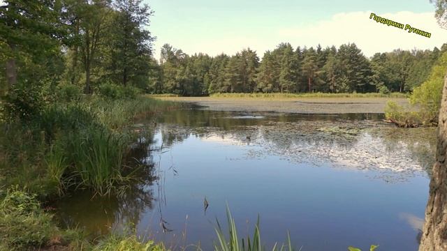 Ж/Д вокзал и парк в Петергофе смотреть онлайн