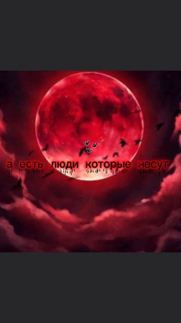 19-12-2025 смотреть онлайн