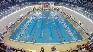 Соревнования по плаванию ГБУ ДО СШ Приморского района СПб "Новогодние старты 2025"