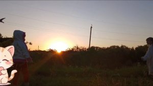 Фоткала просто для настроения 🤍