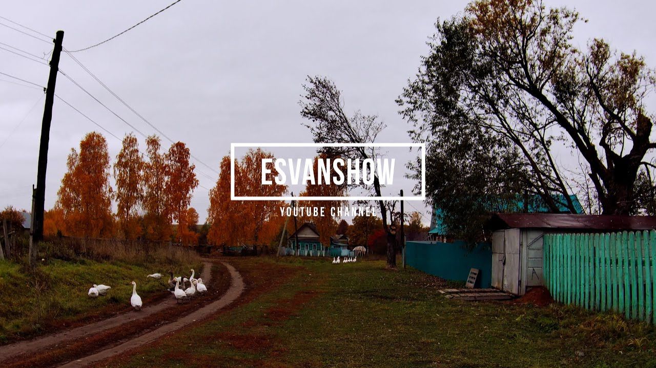 Прогулка по деревне Большая Кемсола