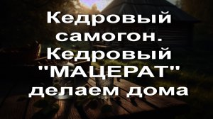 Кедровый самогон. Кедровый «МАЦЕРАТ» делаем дома