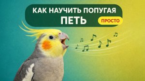 КАК НАУЧИТЬ ПОПУГАЯ ПЕТЬ?