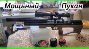 Krugergun Sniper, мощный пукан