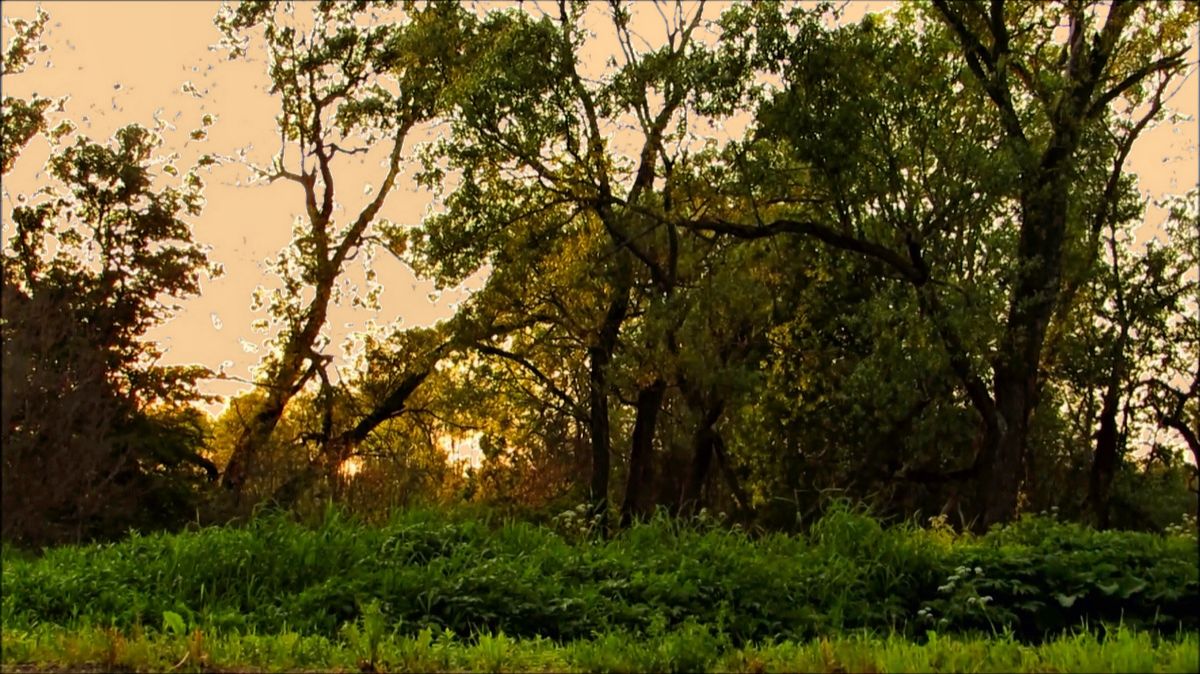 Ещё один спокойный вечер смотреть онлайн